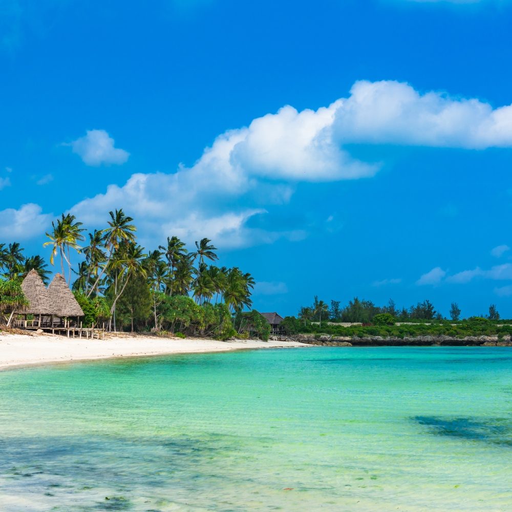 Untitled design (21)